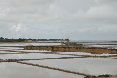 The salt fields of water