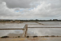 The famous Salt Museum of Trapani is located in the middle of the Saline Nature Reserve of Trapani. It is a private business, run by the Culcasi family, situated along the route known as the Salt Road, a tourist and cultural project created with the intent of enhancing the coastal area of West Sicily, with its particular moist environment, salt pits and mills.