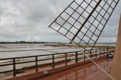 Thanks to a guided tour, visitors can discover the stages of processing salt as it has developed over the centuries and admire the exhibition of original artifacts, all accompanied by detailed data sheets and panels illustrating the different work cycle phases.