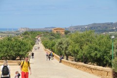 We visit the Valley of Temples just outside the city of Agrigento.  The city was once the Greek city of Akragas, one of the most culturally advanced cities of the ancient world.