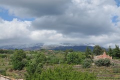 This is the base of Mount Etna buried in clouds this afternoon not far from the ranch.