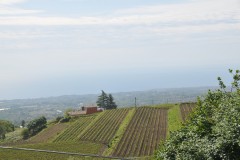 Beautiful landscape on the side of Mt. Etna