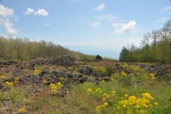 Looking from MT. Etna across the Ionian sea is Calabria in southern Italy.