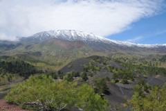 The view was spectacular from the plateau that we had climbed up on.