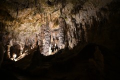 As you walk thorough the diverse collection of tunnels on the narrow walking trails you see sculpted galleries, stalactites and stalagmites,all highlighted to see its majesty. 