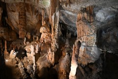 In 1872, cave rails were laid along with first cave train for tourists. At first, these were pushed along by the guides themselves, later at the beginning of the 20th century a gas locomotive was introduced.