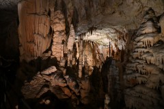During World War II, German occupying forces used the cave to store nearly 1,000 barrels of aircraft fuel, which were destroyed in April 1944 by Slovene Partisans. The fire burned for seven days, destroying a large section of the cave and blackening the entrance.