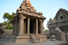 Dharmaraja Ratha.  Though sometimes mistakenly referred to as temples, the structures were never consecrated because they were never completed following the death of Narasimhavarman 