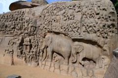 The sculptures carved in the natural fissure that divides the cliff not only depict the cosmic event of Ganges descending to Earth but also show the event being watched by many gods, goddesses, puranic figurines and also wild and domestic animals. The total number of carvings are probably about 146.