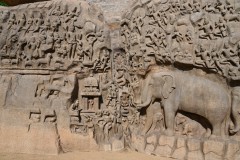 The carvings of elephants, facing north and south, are almost life size. Another humorous scene is the carvings of monkeys copying the yogic scenes of the sages. Wild lions are also shown with large mane and also rams which are interpreted as representing the Himalayan habitat