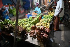 Many varieties of bananas. 