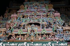 A detail close up of the Sri Ranganathaswamy Temple. The detail is amazing. 