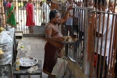 Local temple priest is placing blessings on those that wish to receive it. 