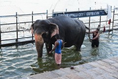 The Trichy corporation has fenced the bathing ghats to ensure public safety