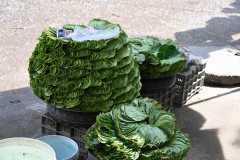Betel Leaves are used for chewing, as a medicine, and in cooking.