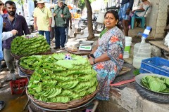 Betel leaves are chewed with areca nut and lime, and sometimes tobacco. It's used to freshen breath, stimulate the body, and aid digestion.  The juice is used to treat eye problems, sore throats, and coughs. 
