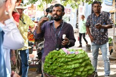Dennis is explaining all the uses for the Betel product. Betel leaf oil is used as an antiseptic and to treat respiratory problems. Betel leaf extracts are used to treat skin allergies and diarrhea. Betel leaves are used to add flavor and aroma to dishes.  Betel leaves are sometimes cooked and added to vegetable soups.  I would say you cannot live without it if you live in India. 
