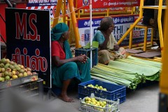Banana Leaves to eat off of