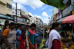 The street activity