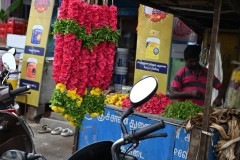 Flowers for special occasions or funerals