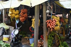 After leaving Madurai about an hour out of town we stopped at a small town that had a local market in full course taking place. Each market is so different to walk through and talk with locals, see the products being sold and just viewing the everyday life of local Indian people. They are curious of the tourists.  Notice the number of varieties of local bananas. 