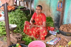This lady in her colorful sari is selling garlic and other freshly home grown items. 