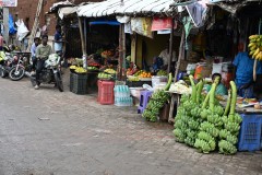 Huge bunches of bananas cut from the trees