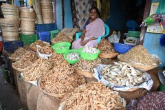 This lady was so happy to have here photo taken.  She is selling dried fish.  When I showed her her photo.. did she ever smile. 