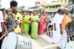 The goat you see in the parade later in the day was slaughtered and was part of the meal. 