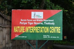 We literally drove only a couple blocks to the Periyear Wildlife Sanctuary early in the morning. 