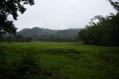  The topography consists of steep and rolling hills which are thickly wooded.
