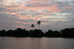 Sunset over Kerala's palm fringed canals in a very tranquil part of southern India. 