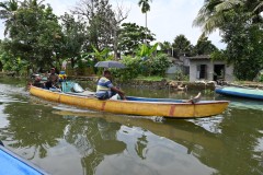 Kerala backwaters have been used for centuries by the local people for transportation, fishing and agriculture. 