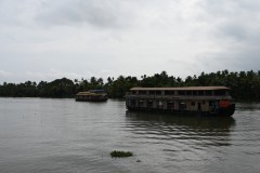 The Kettuvallam were traditionally used as grain barges, to transport the rice harvested in the fertile fields alongside the backwaters. Thatched roof covers over wooden hulls, 100 ft (30 m) in length, providing protected from the elements.