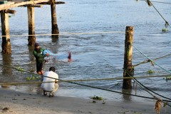 Casting out the net from beach.