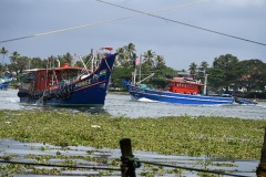 Fishermen  leaving and returning on the Periyar river to the Arabian Sea in Kochi 