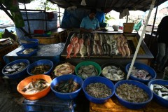 A fish sales person proudly displaying today's ketch for sale 