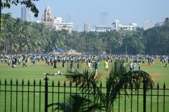 City park Saturday morning filled with teams playing Cricket