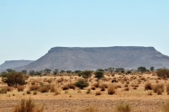 After 30 miles of driving out of Khartoum we drive into the desert area covered with huge round granite boulders. These are the last offshoots of the rocky formations of the 6th Cataract.