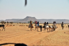 We leave the asphalt road and we drive 20 miles on a desert track in r wheel drive land cruisers among many camel thorn acacia trees to visit two archaeological sites. We see a number of Bedouin children.