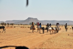 We leave the asphalt road and we drive 20 miles on a desert track in r wheel drive land cruisers among many camel thorn acacia trees to visit two archaeological sites. We see a number of Bedouin children.