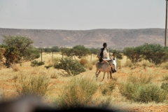 Young boy riding a donkey in the Saharan desert scrub