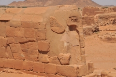 The large number of elephants represented on these walls and pilars makes you think that this animal used to have an important role in this area.