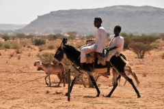 Locals passing on donkeys