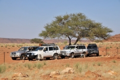 Our land cruisers parked in the shade of a tree