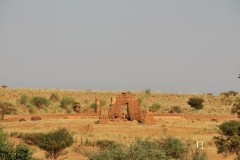 Additional ruins in the distance of the temples.