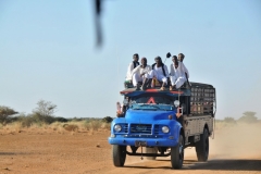 Local transportation in the Saharan desert