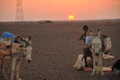 Sunset and the Saharan Desert with power lines running through the area. The old and the new.