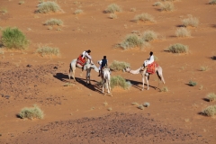 We attracted a group of camel riders hoping to give us a ride on the camels for a price.