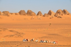 Camels in the foreground